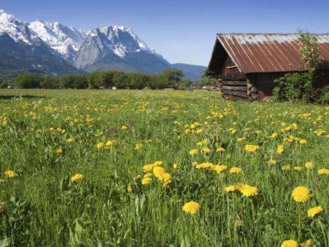 Appartamento Alpenkette Garmisch-Partenkirchen Esterno foto